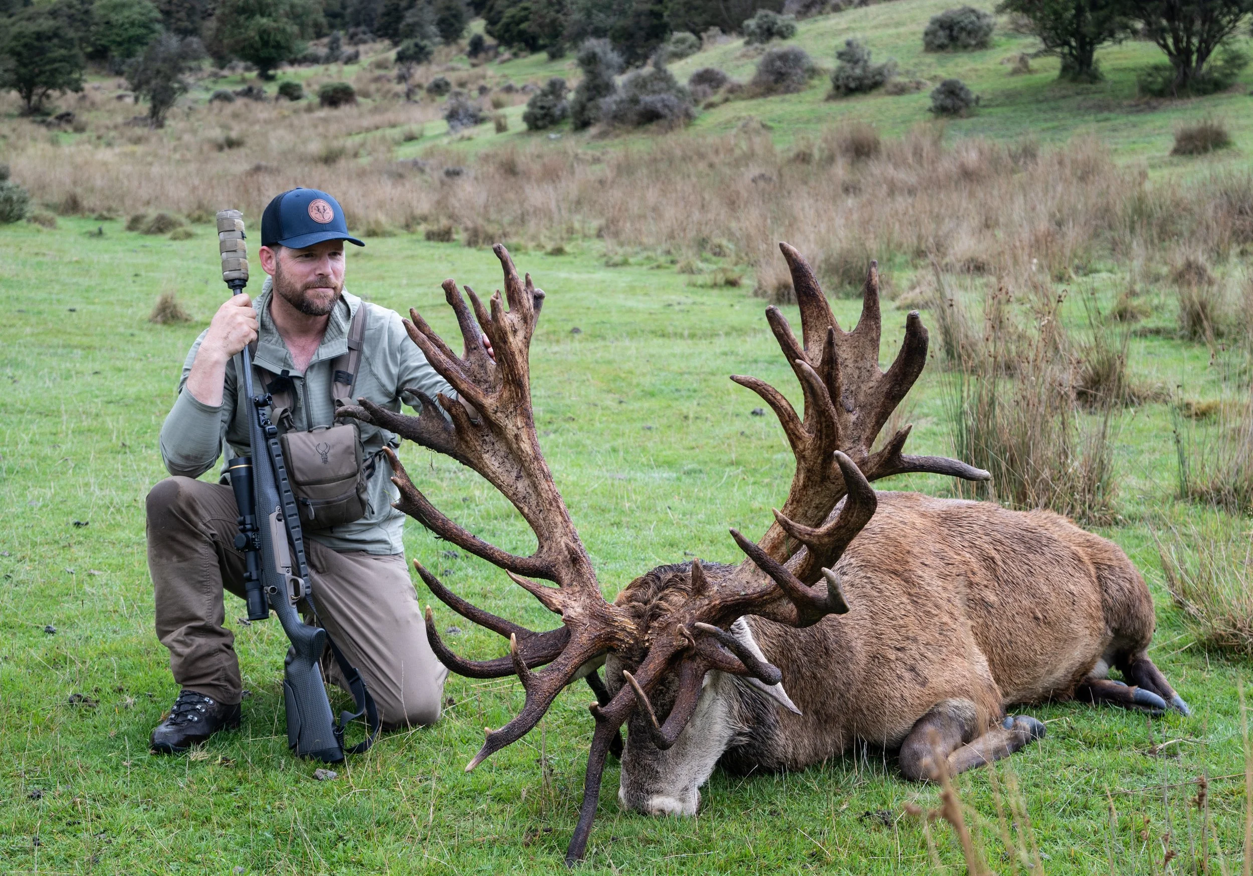Stag-09.jpg