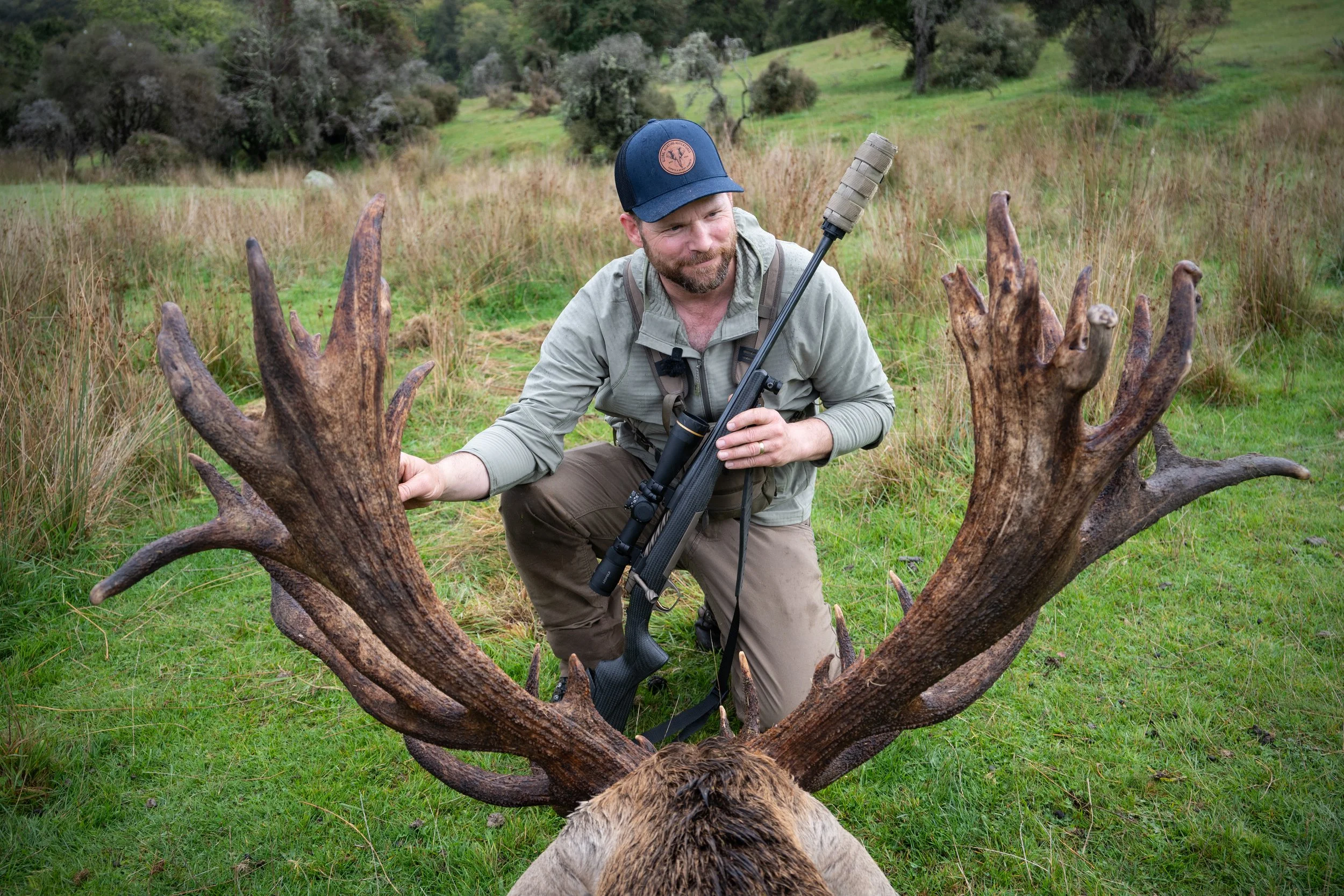 Stag-04.jpg