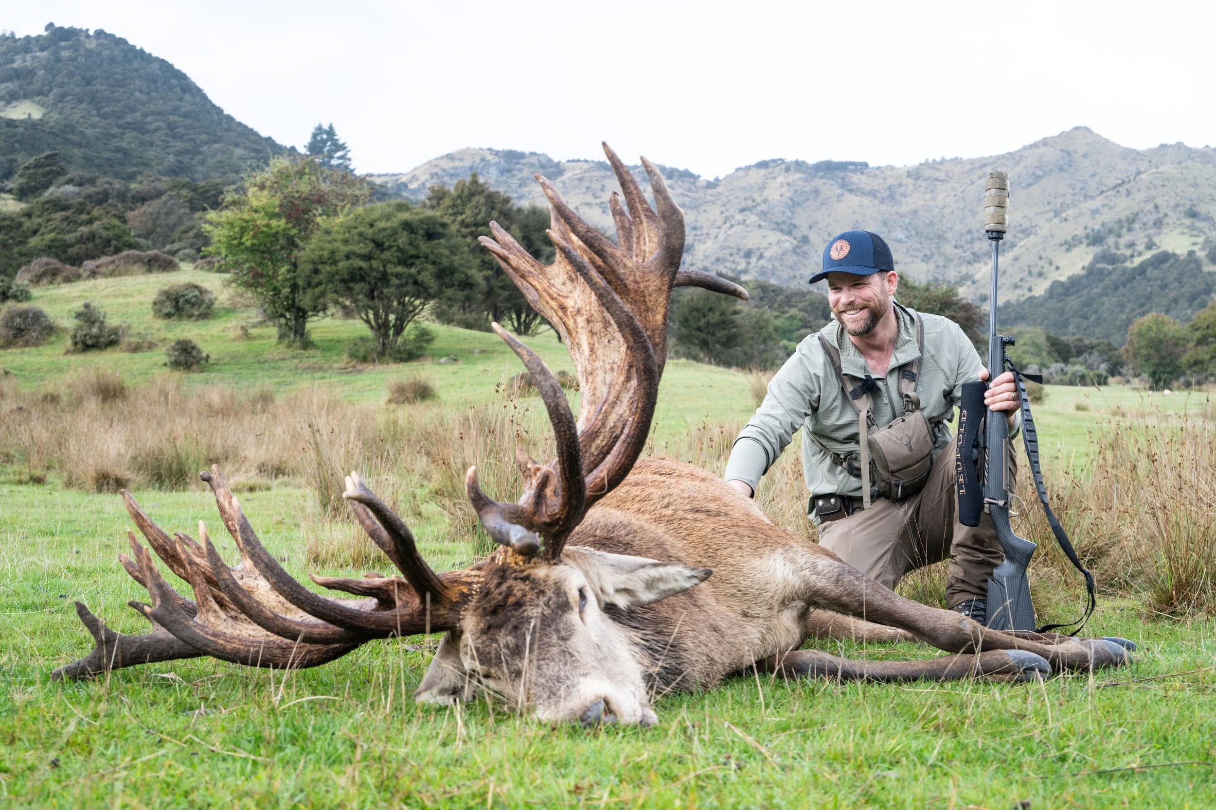 Stag-03.jpg