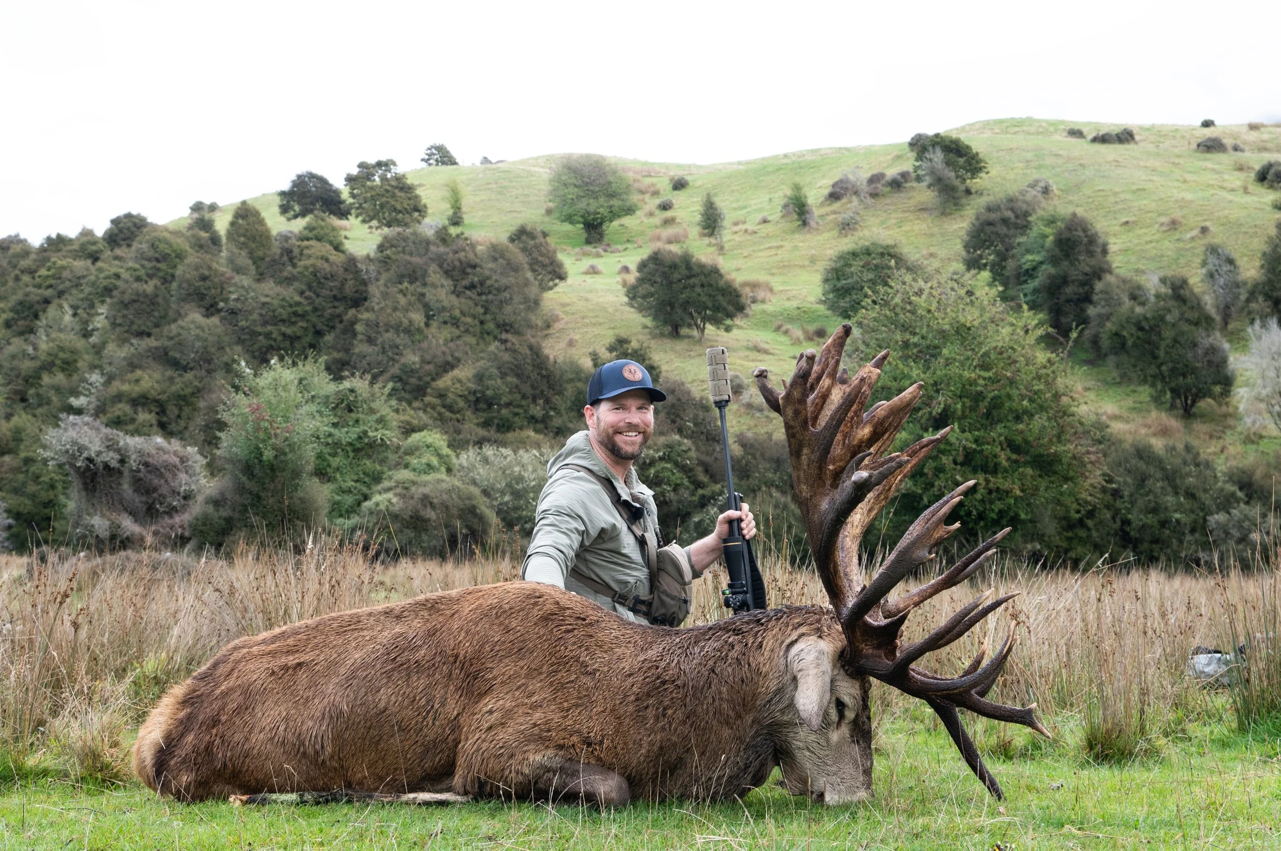 Stag-08.jpg