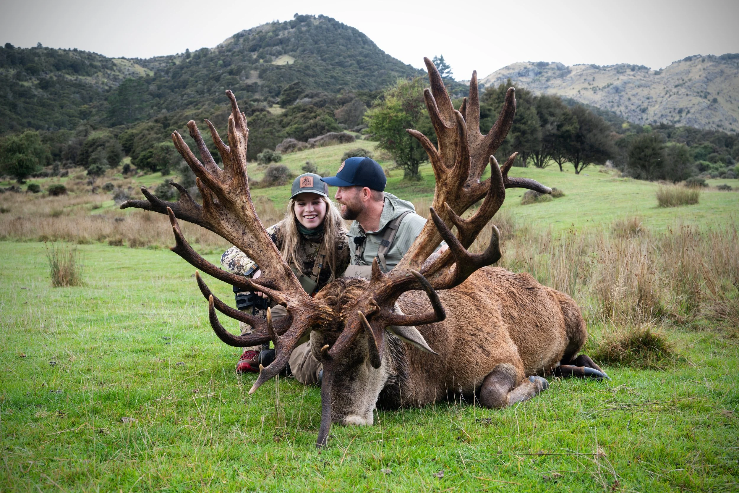 Stag-06.jpg