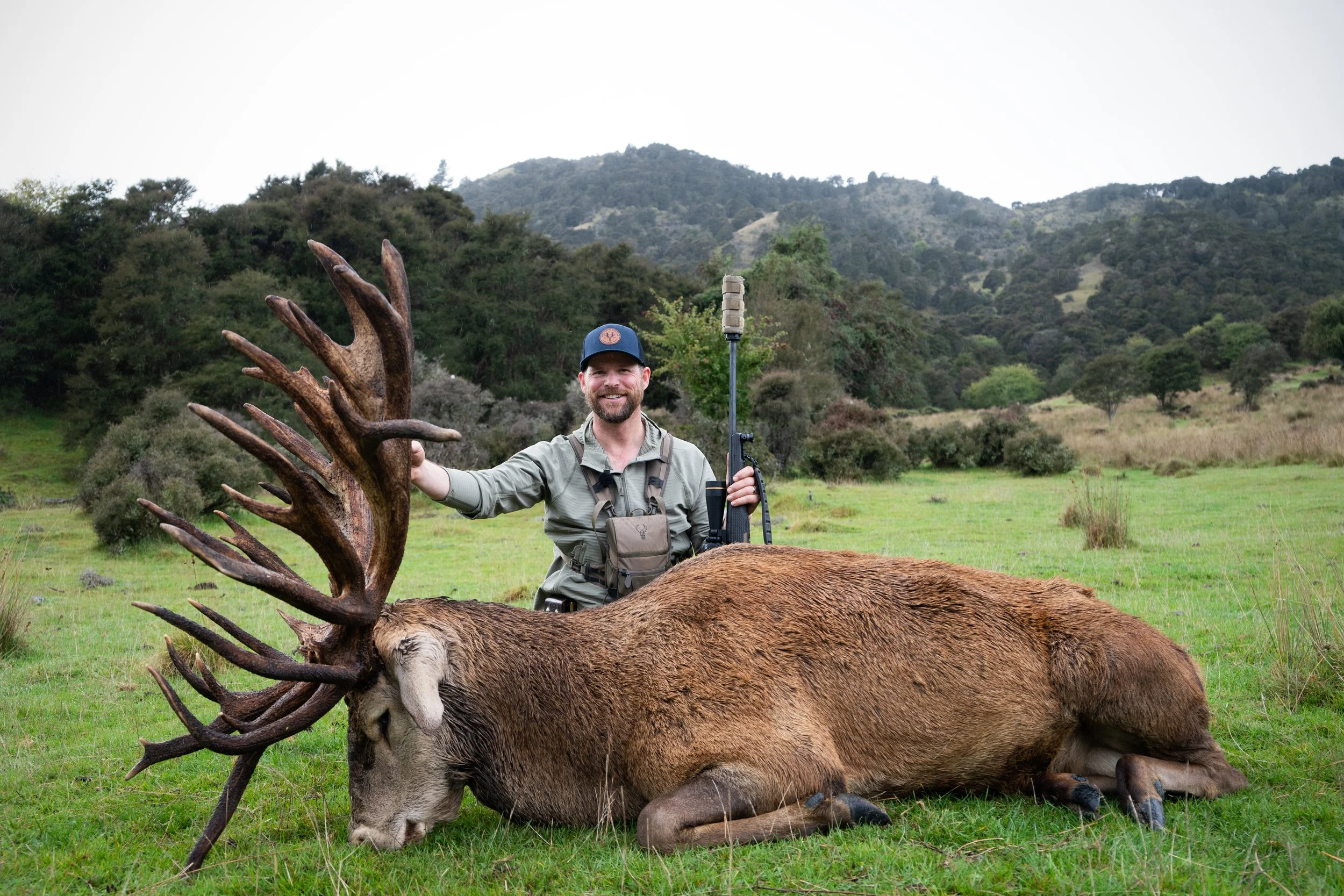 Stag-05.jpg