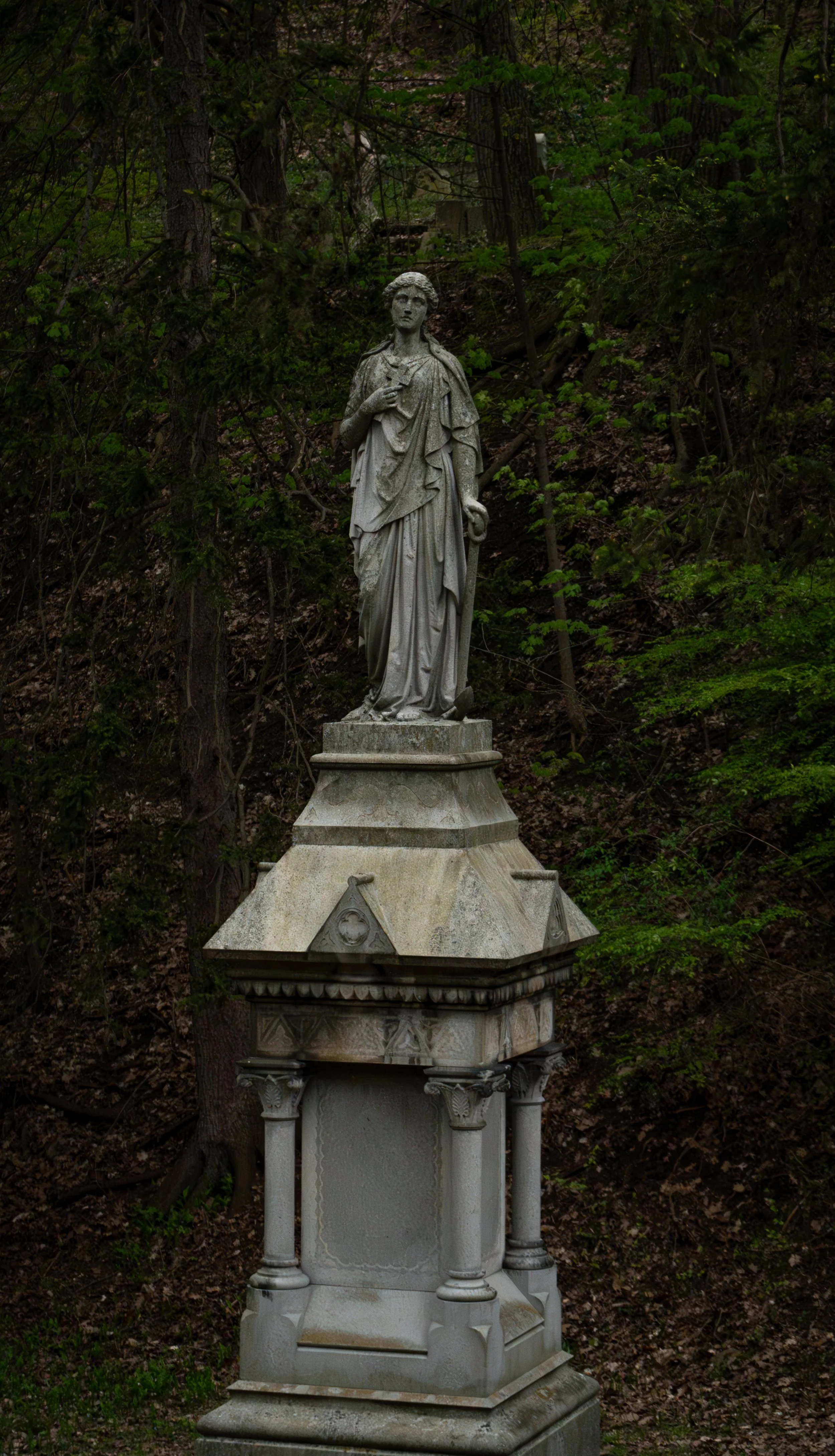 DSC01337.jpg