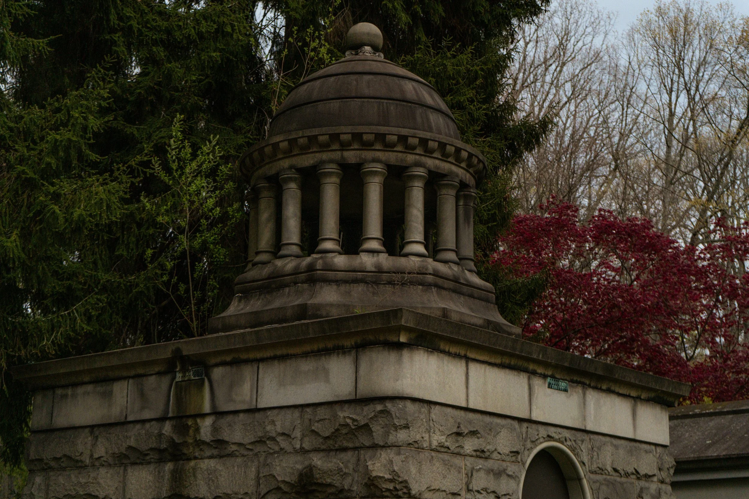 DSC01344-1.jpg