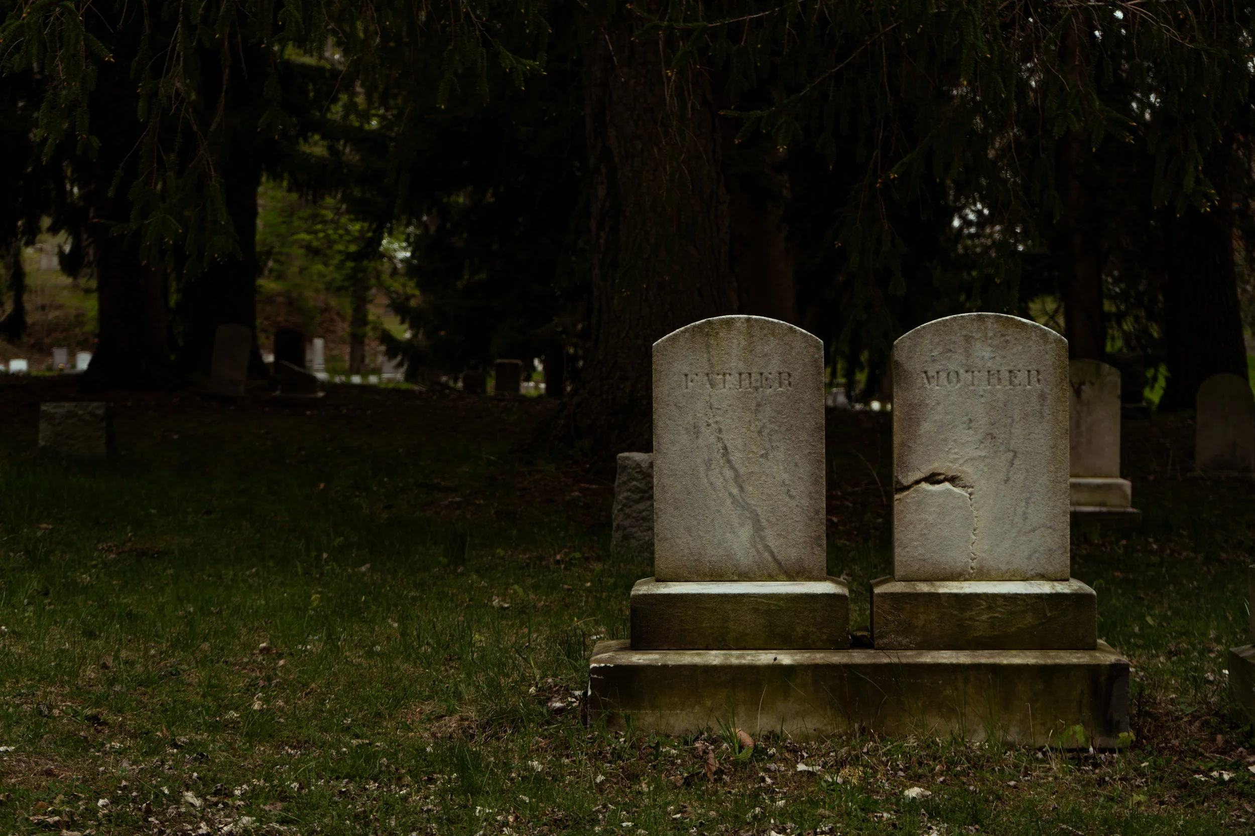 DSC01159.jpg