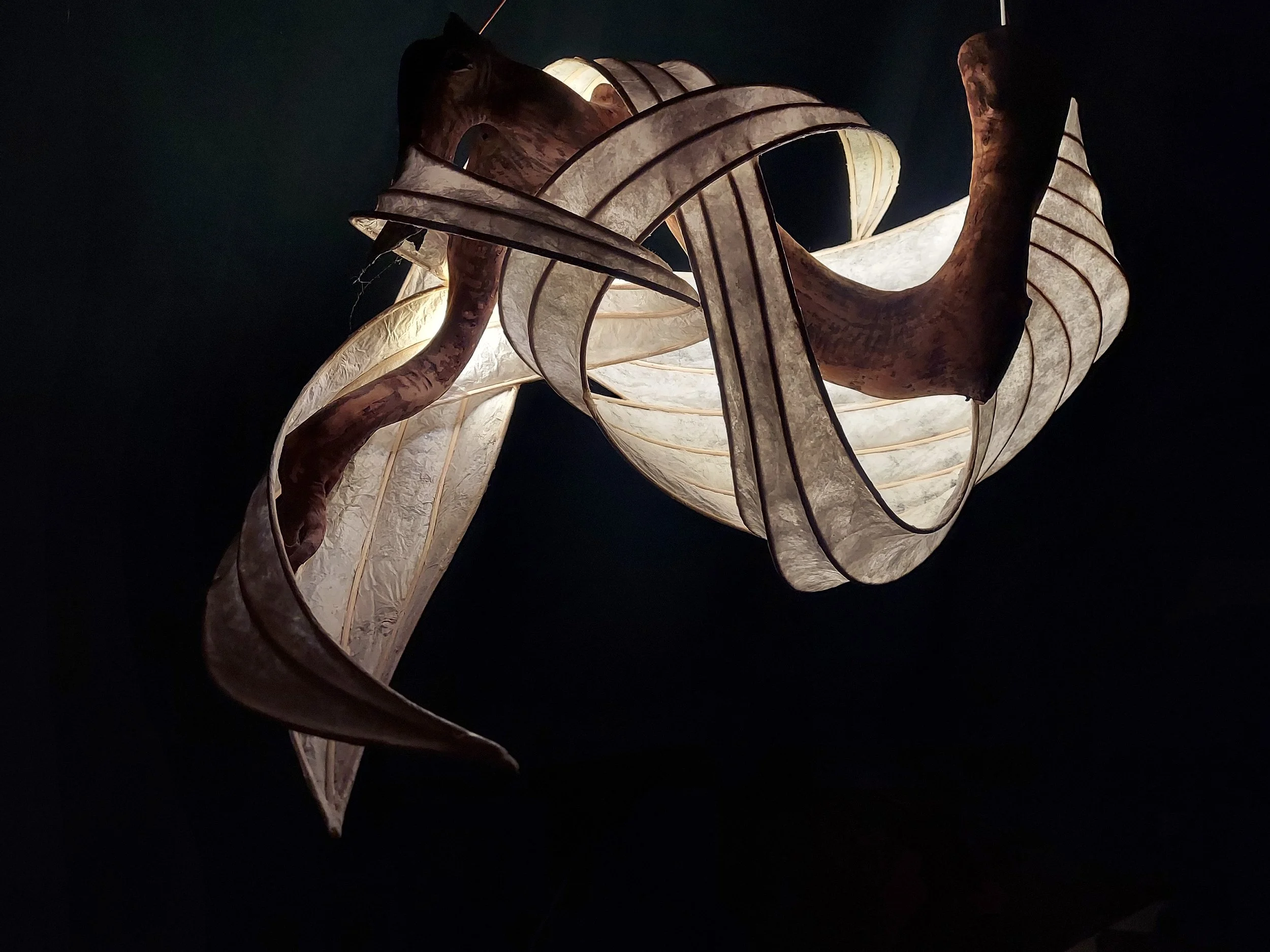 Pendant light sculpture  made from madrona root paper and reed.  The design curves around in a spiral.  Great for those looking handmade custom lighting for interior design.