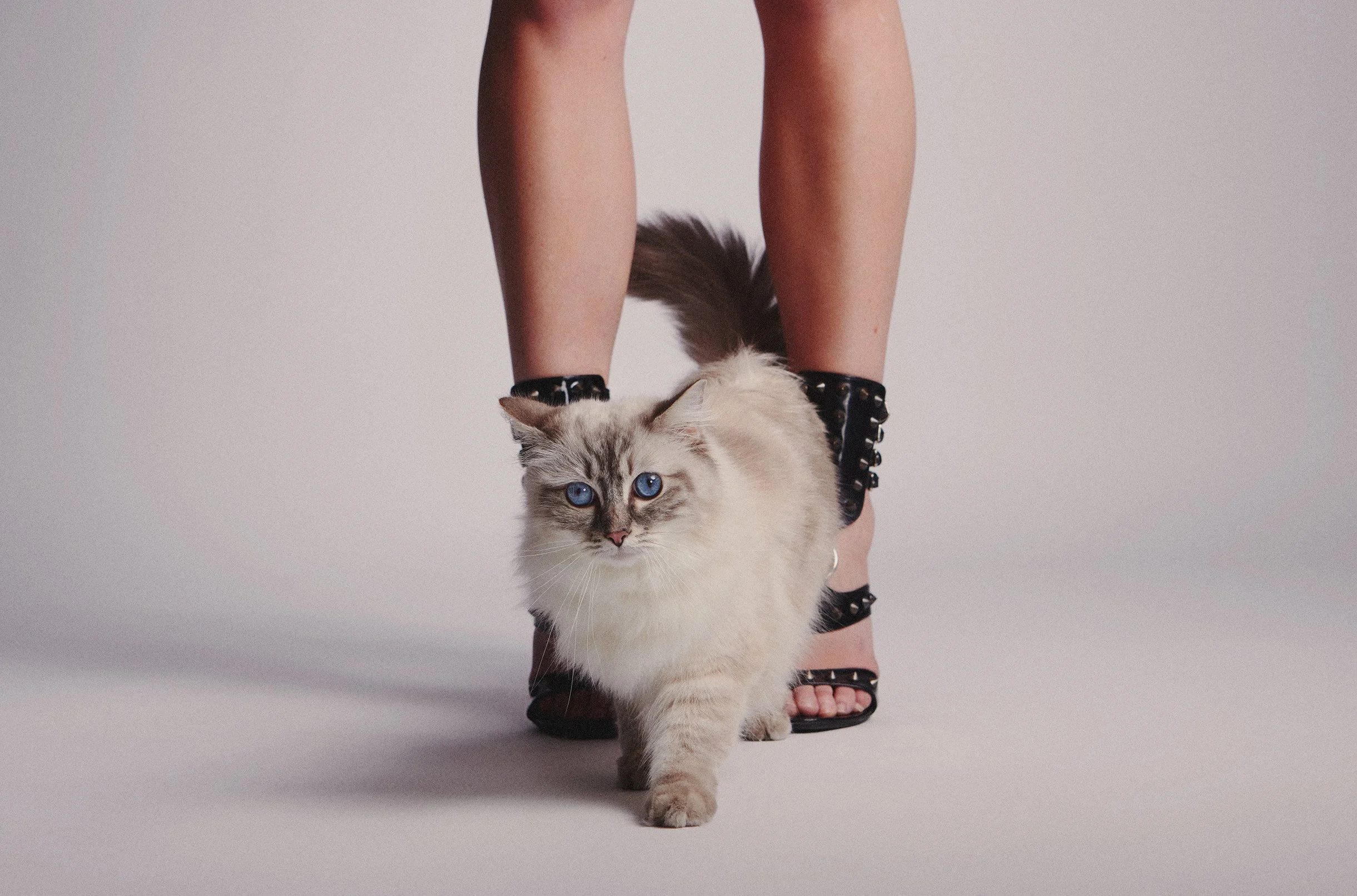 Connie_ Editorial13216_v1a.jpg