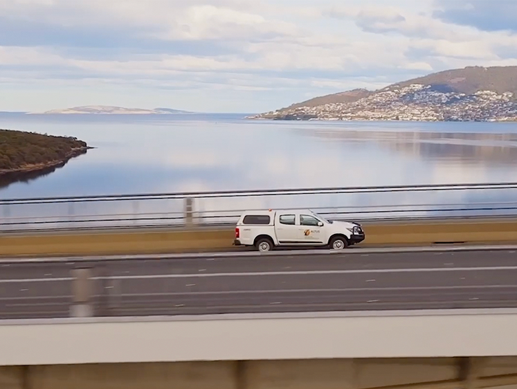 tasman.png
