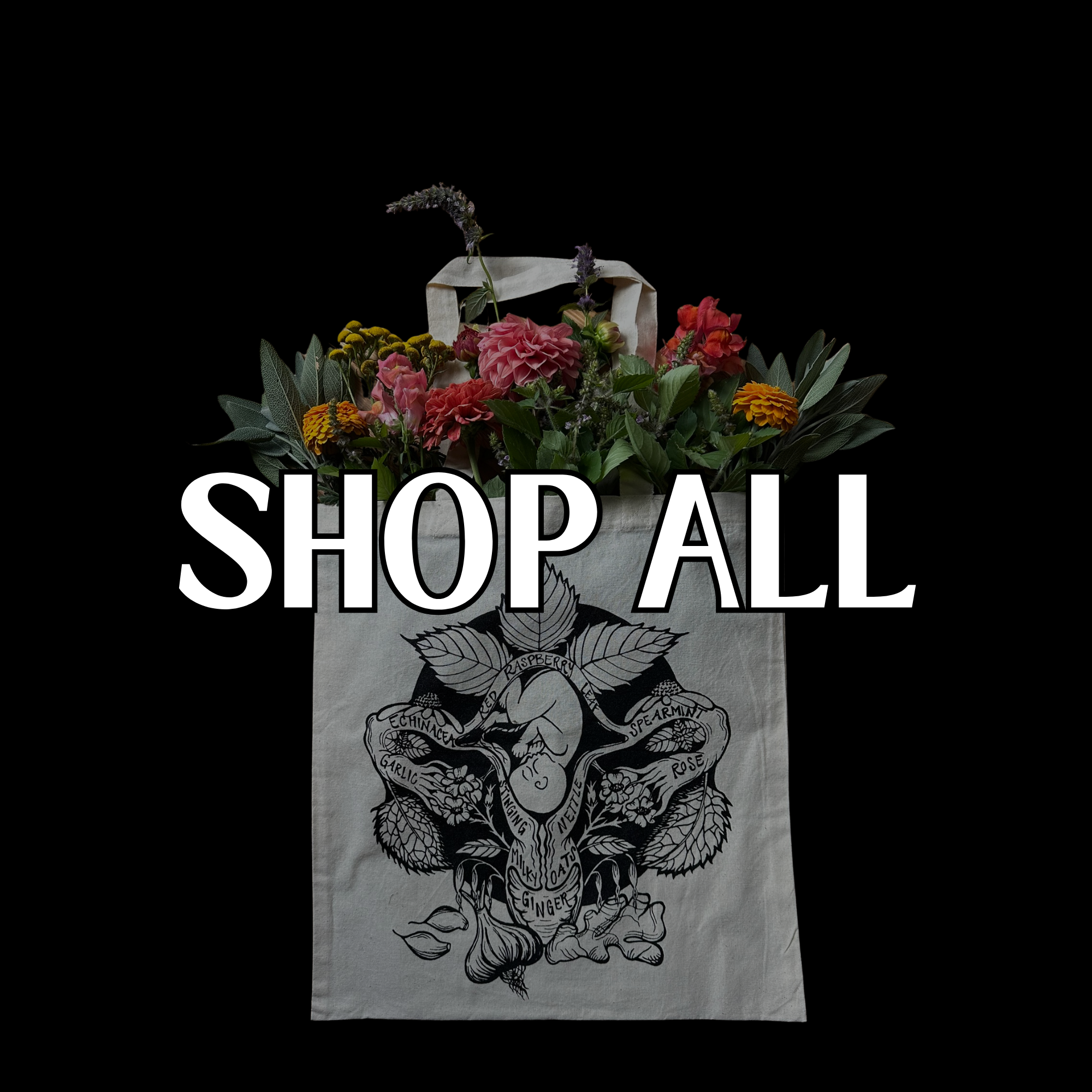 Jewelry, Apothecary, Classes + More! See it all here.