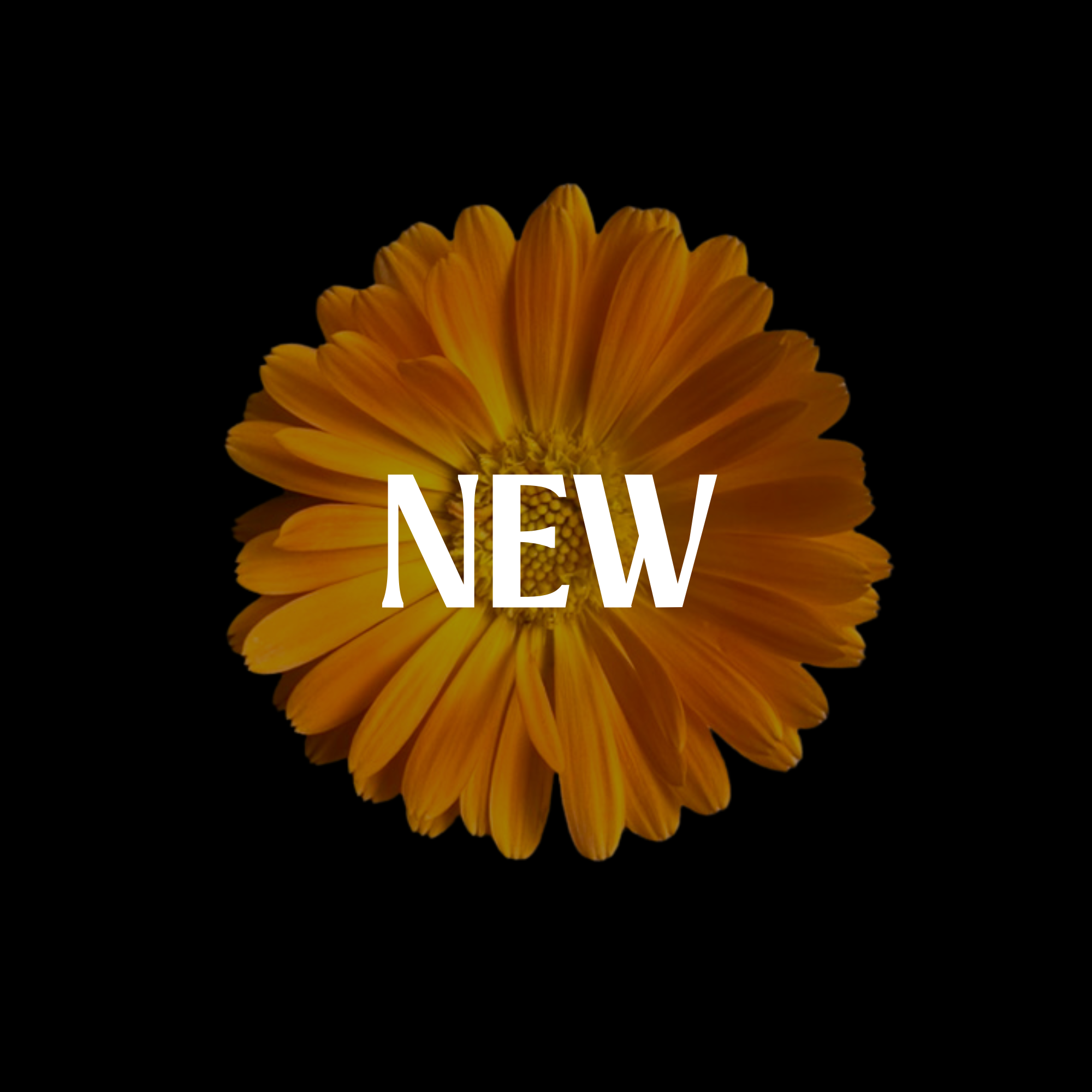 The latest