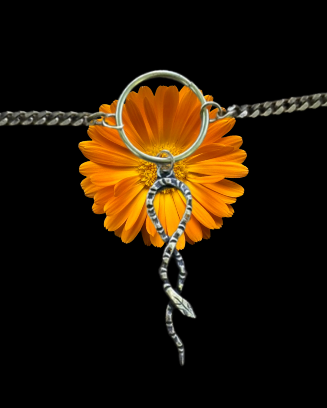 Large Serpents Slither Brass Choker Necklace