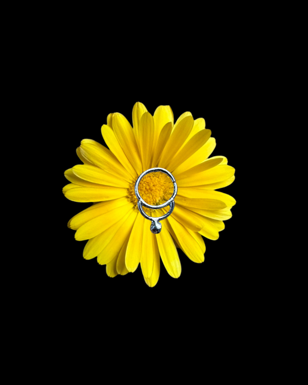 Silver Septum Ring