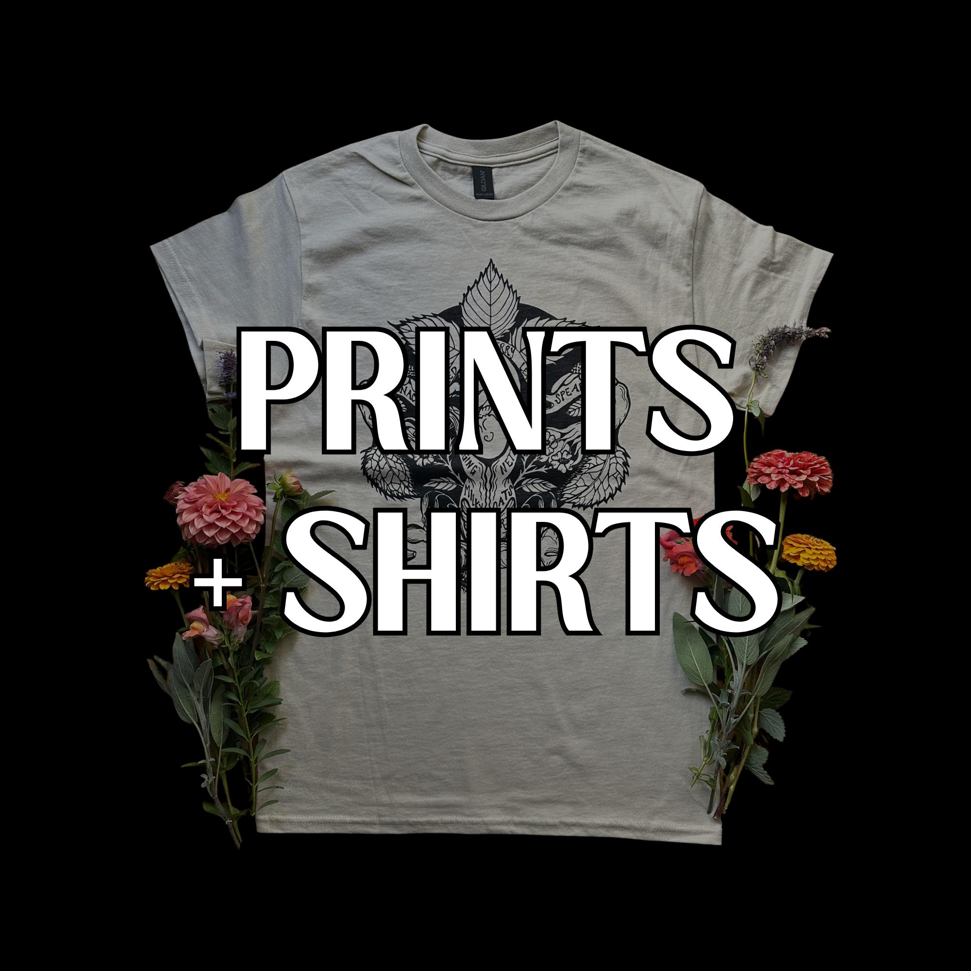 Prints + Shirts