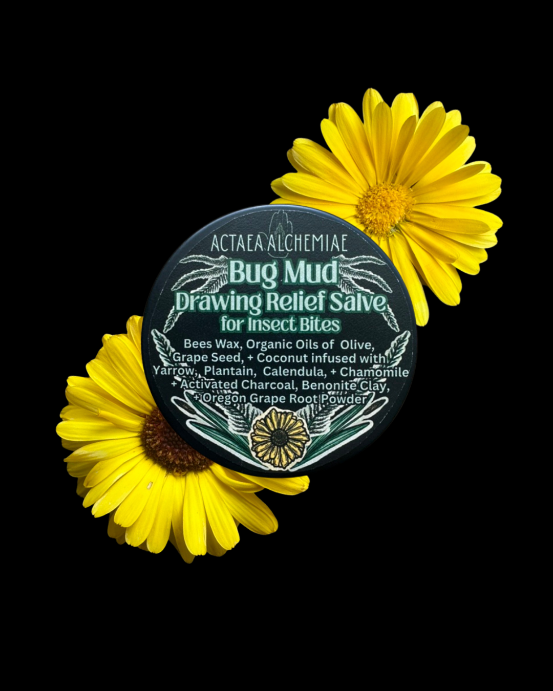 Bug Mud -Drawing Relief Salve 2 oz Tin