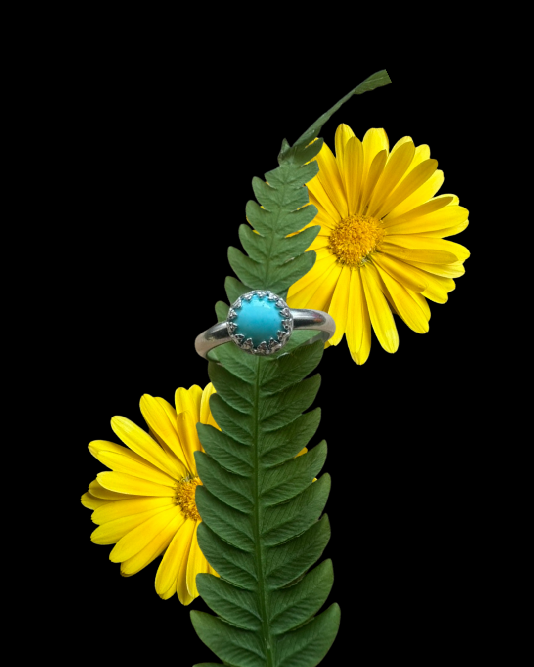Sweet little Turquoise Ring Size 5.5