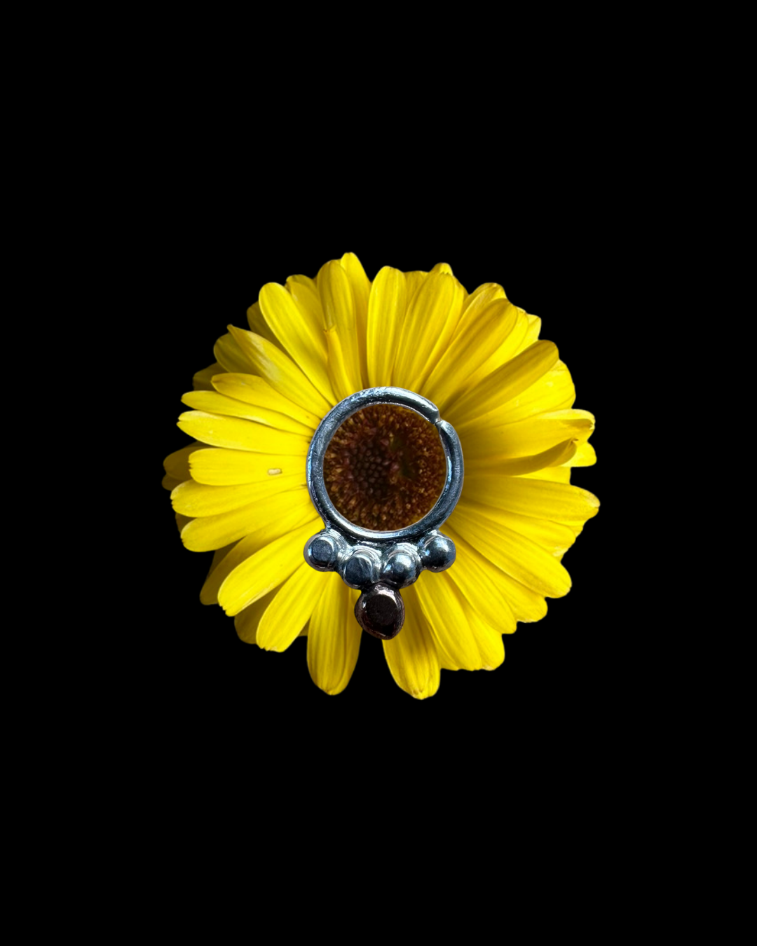 Silver Septum Ring III