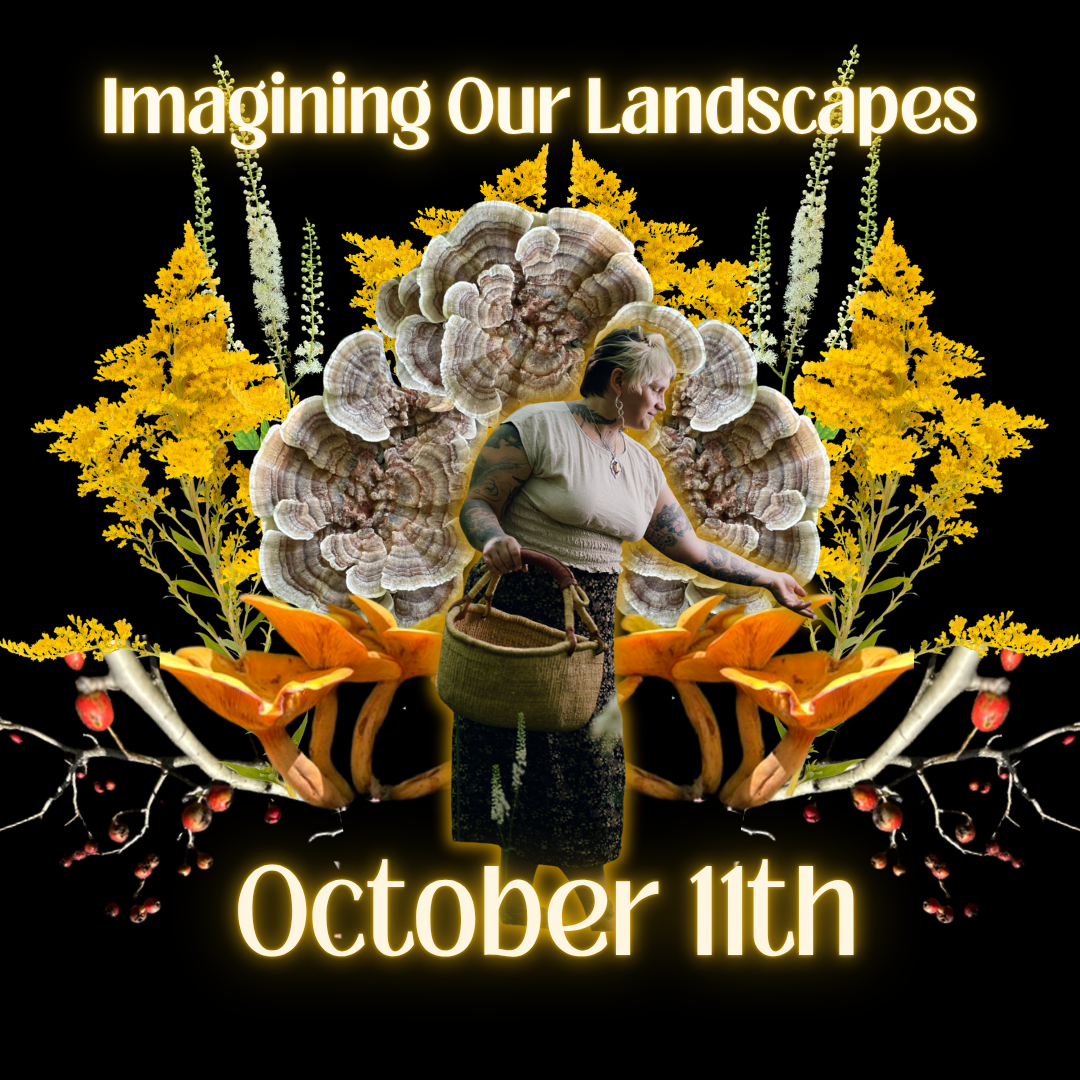 Imaginingourlandscapesfal2026square.png
