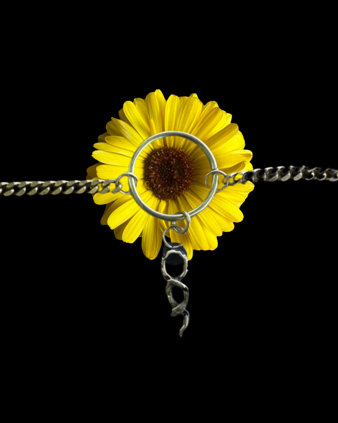 Serpents Slither Brass Choker Necklace