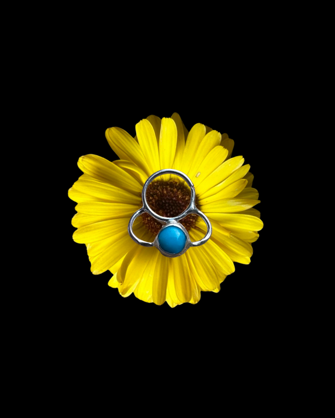 Turquoise Ribbon Septum Ring
