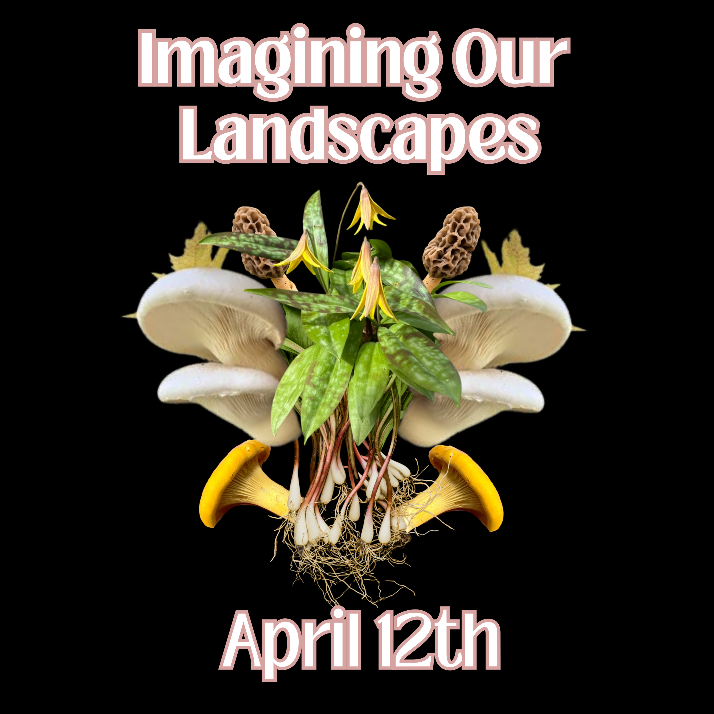 Rochester NY Foraging Class.png