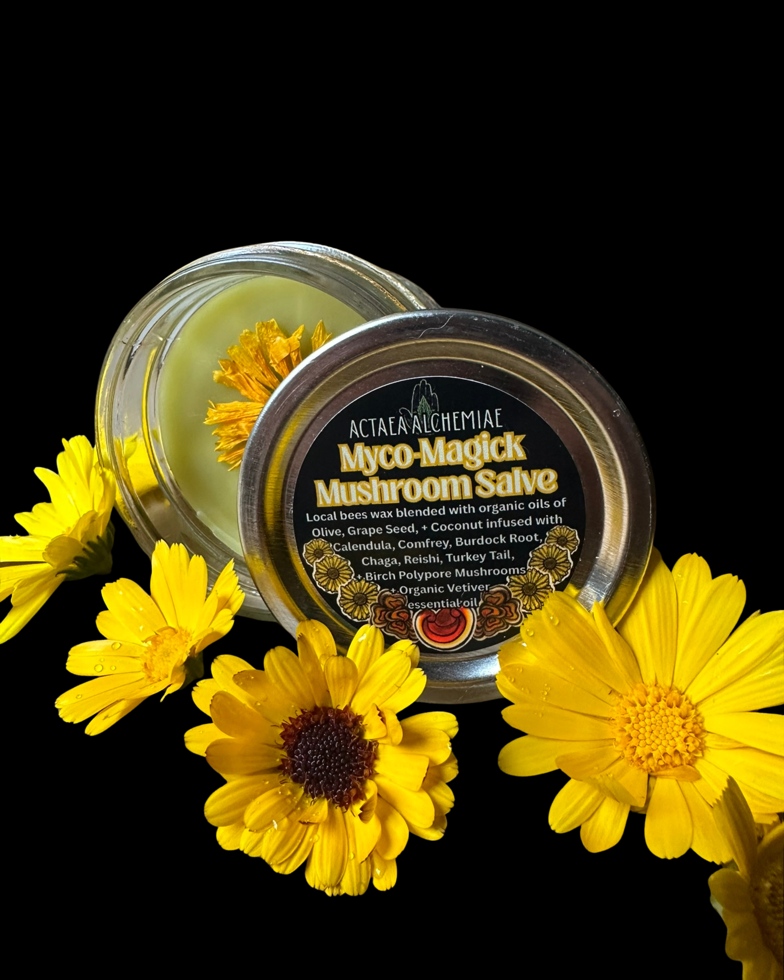 Myco Magick Mushroom Salve
