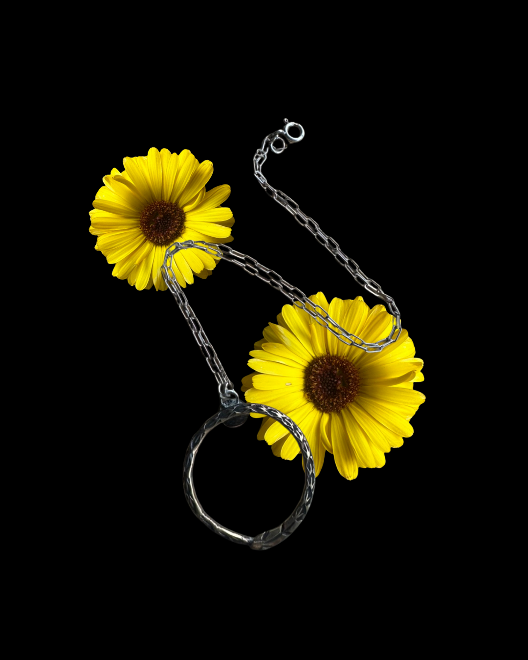 Ouroboros Necklace Brass on Silver