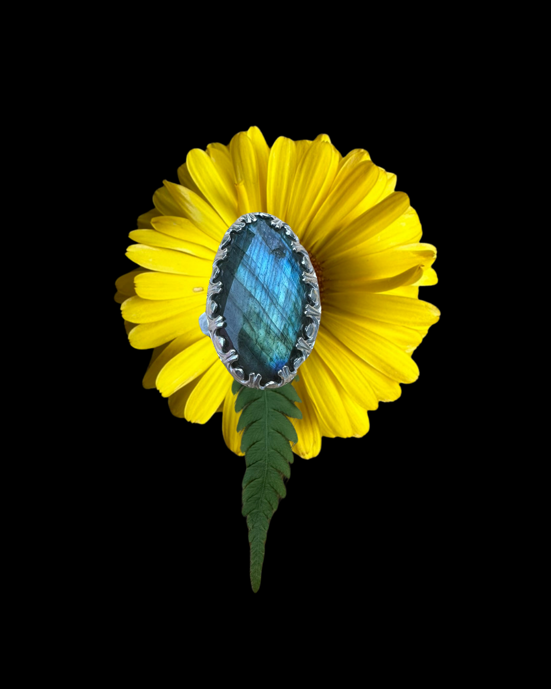 10.png
