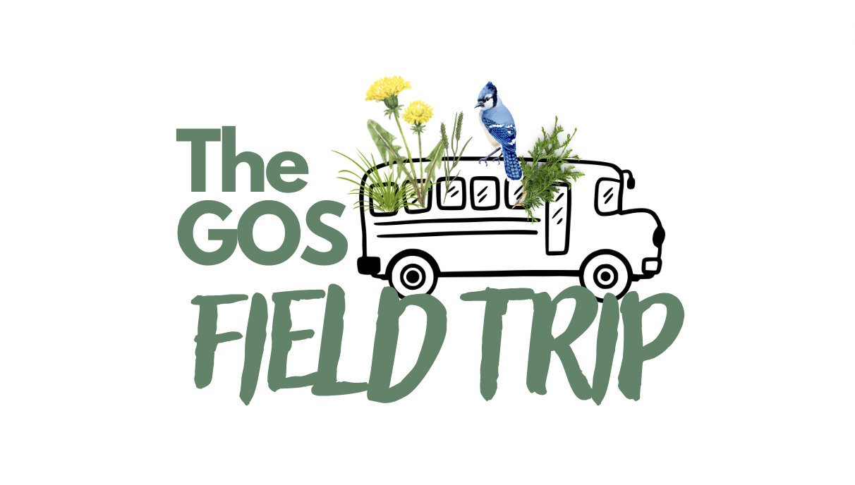 The GOS Field Trip