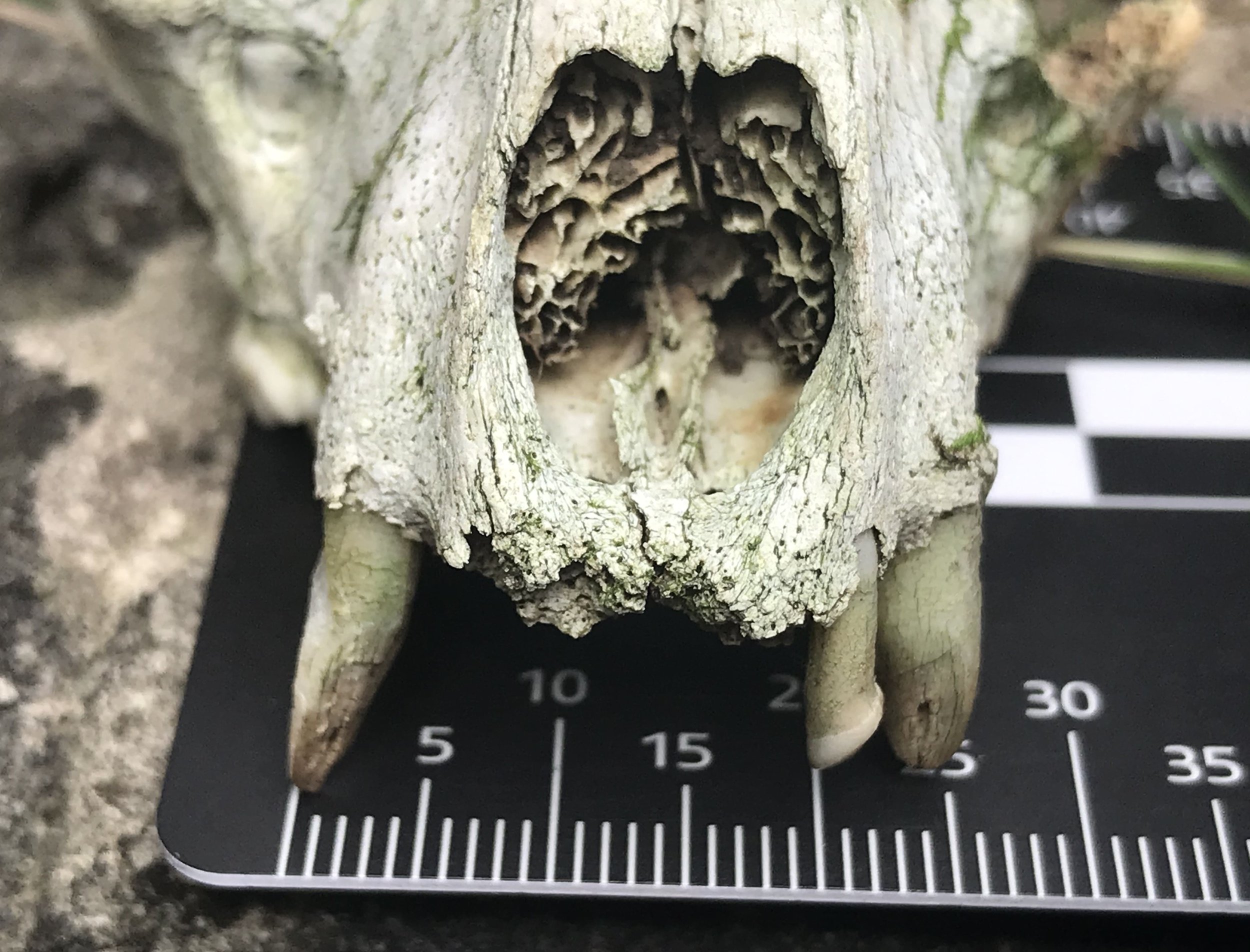 moon school 2-min.JPG