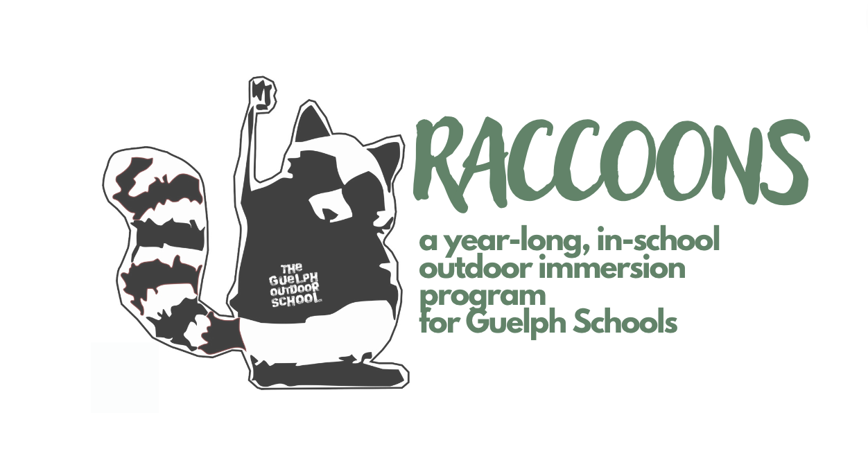 Raccoons