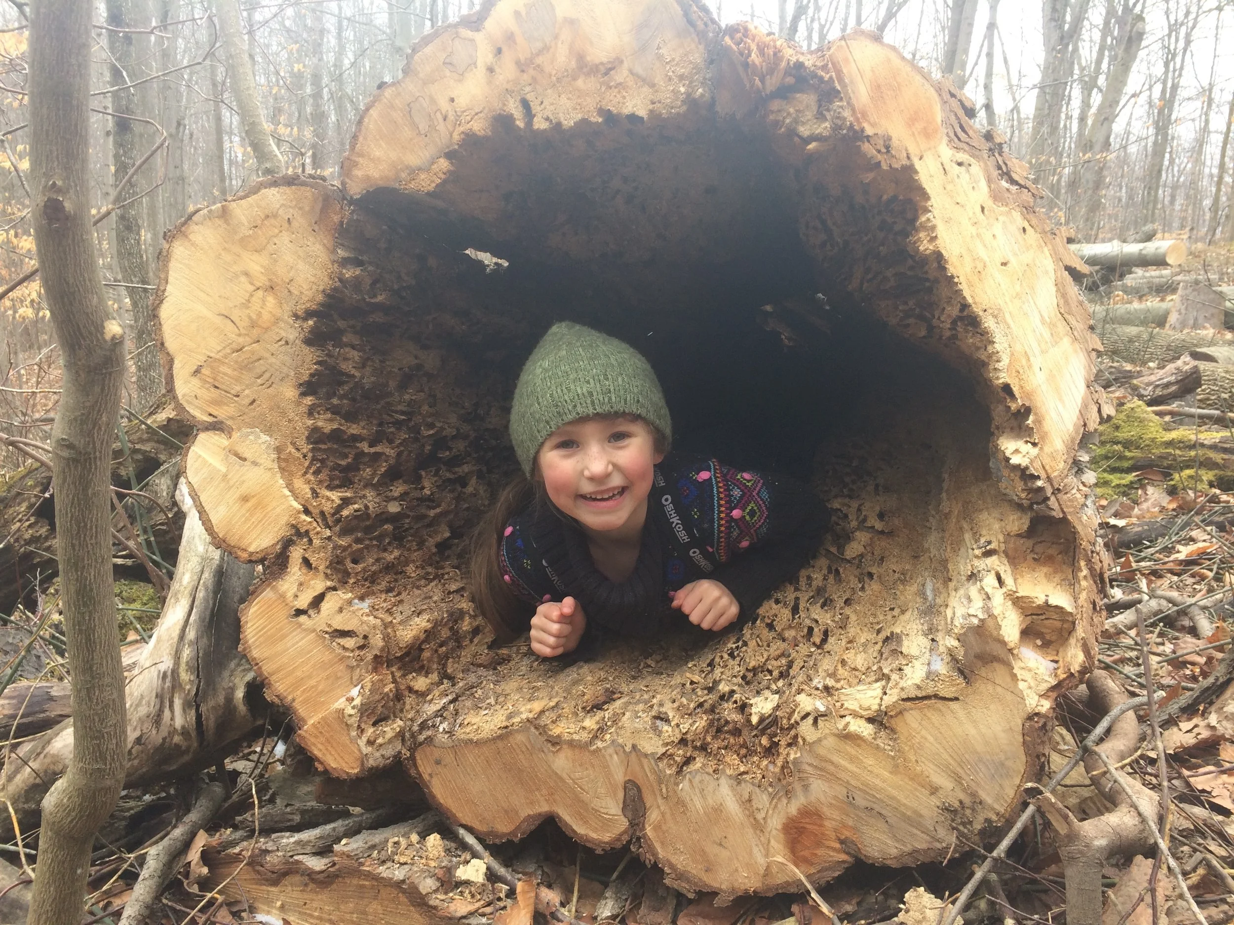 Shelters & Being At Home in the Woods