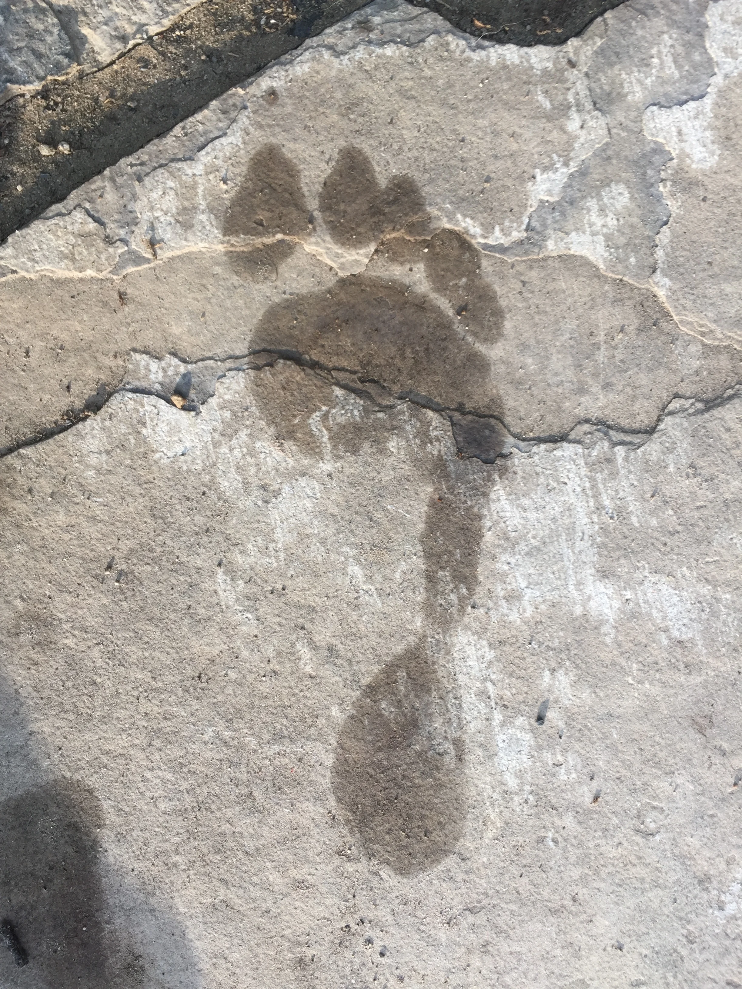 Awareness of our impact & responsibility