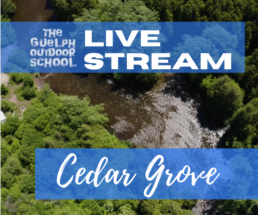 Monday Cedar Grove 10 - 11:30am