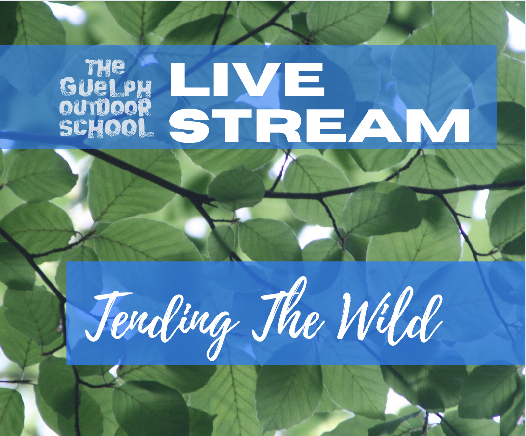 Tuesday Tending The Wild 9 - 10:30am