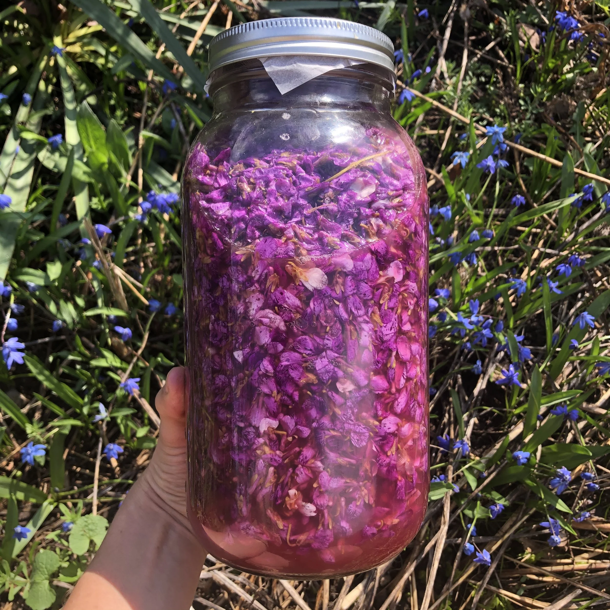 violet jar sunny.jpeg