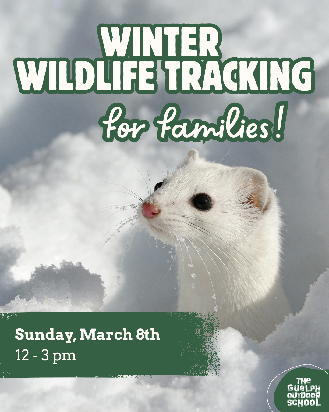 Winter Wildlife Tracking 