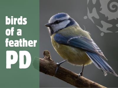 Birds of a Feather PD