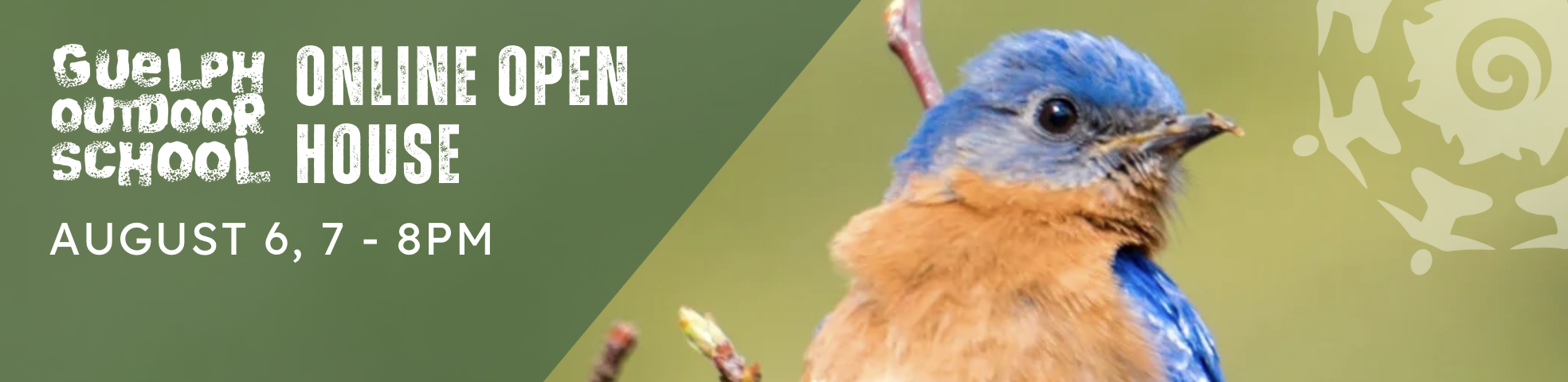 A Little Birdie Told Me: Online Open House + Q&A
