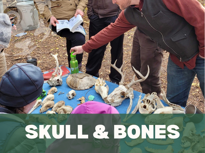Skulls and Bones Workshop