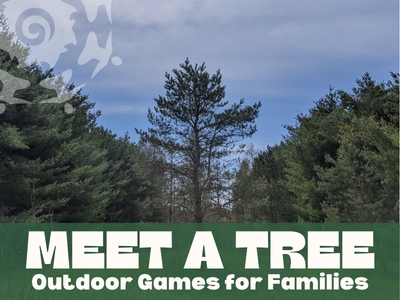 Meet a Tree - Outdoor Games for Families
