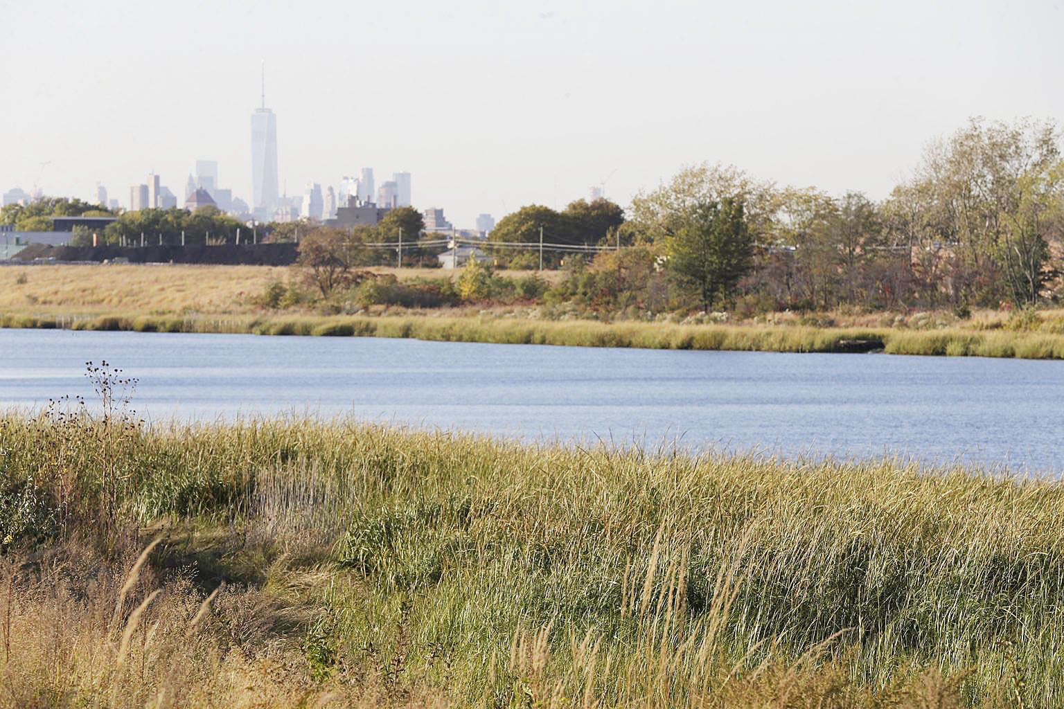 The Wetlands Ruling &amp; NY Property Development 
