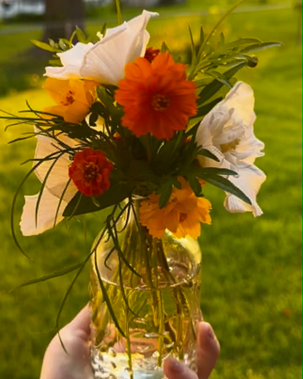 Hand holding a glass jar with a bouquet of white, orange, and yellow flowers, set outdoors with greenery in the background.