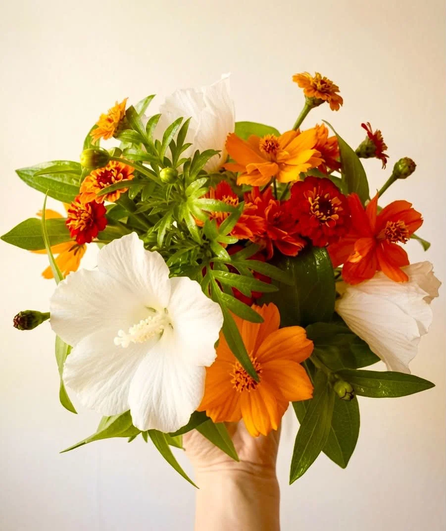 A hand holding a bouquet of orange, red, white, and green flowers against a plain background.