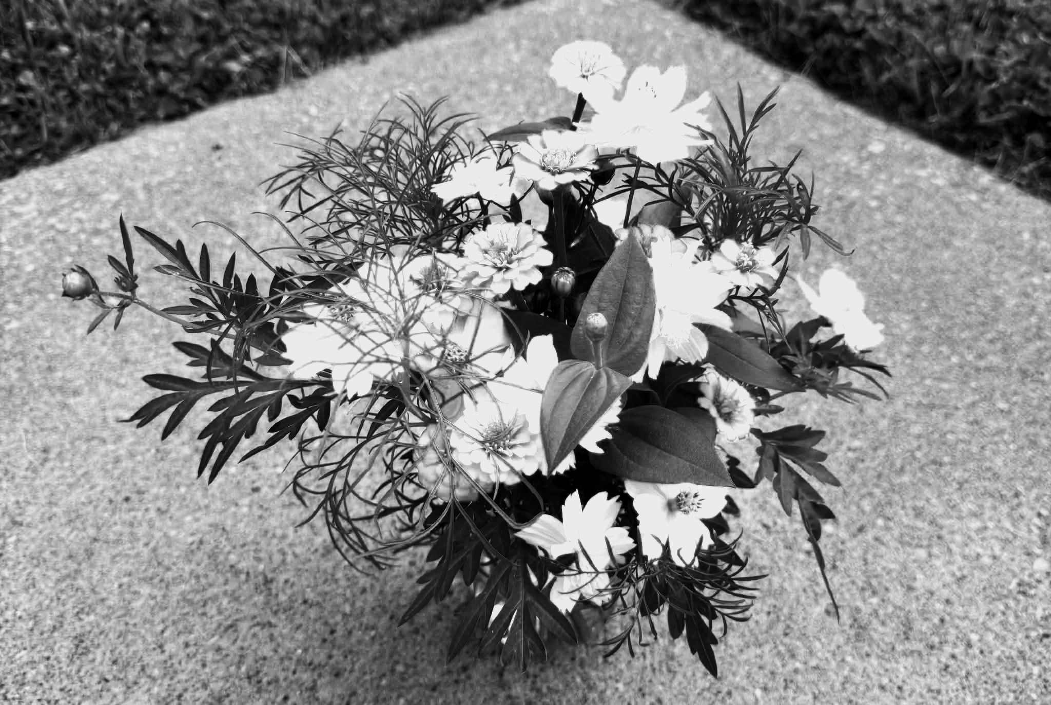 A black and white photo of a bouquet of flowers, some with open petals, placed on a sidewalk with gravel and grass on either side.