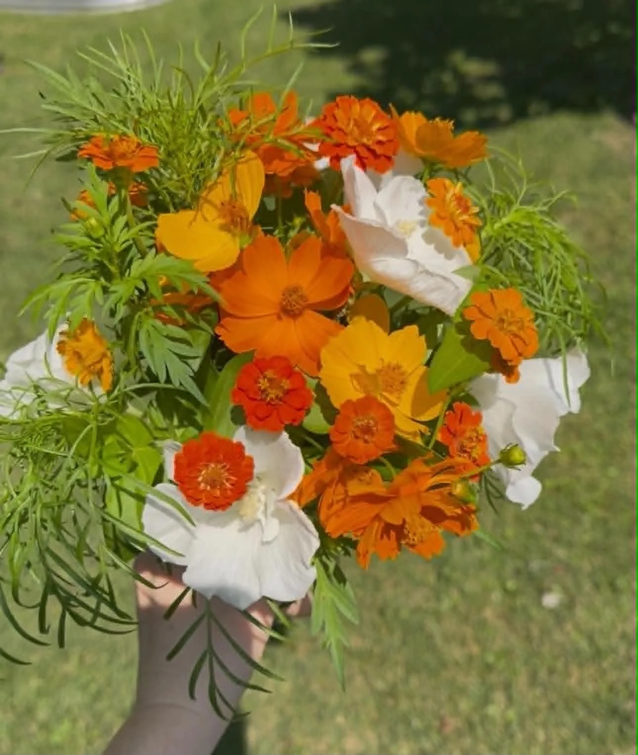 A person holding a vibrant bouquet of orange, white, and red flowers with green foliage outdoors.
