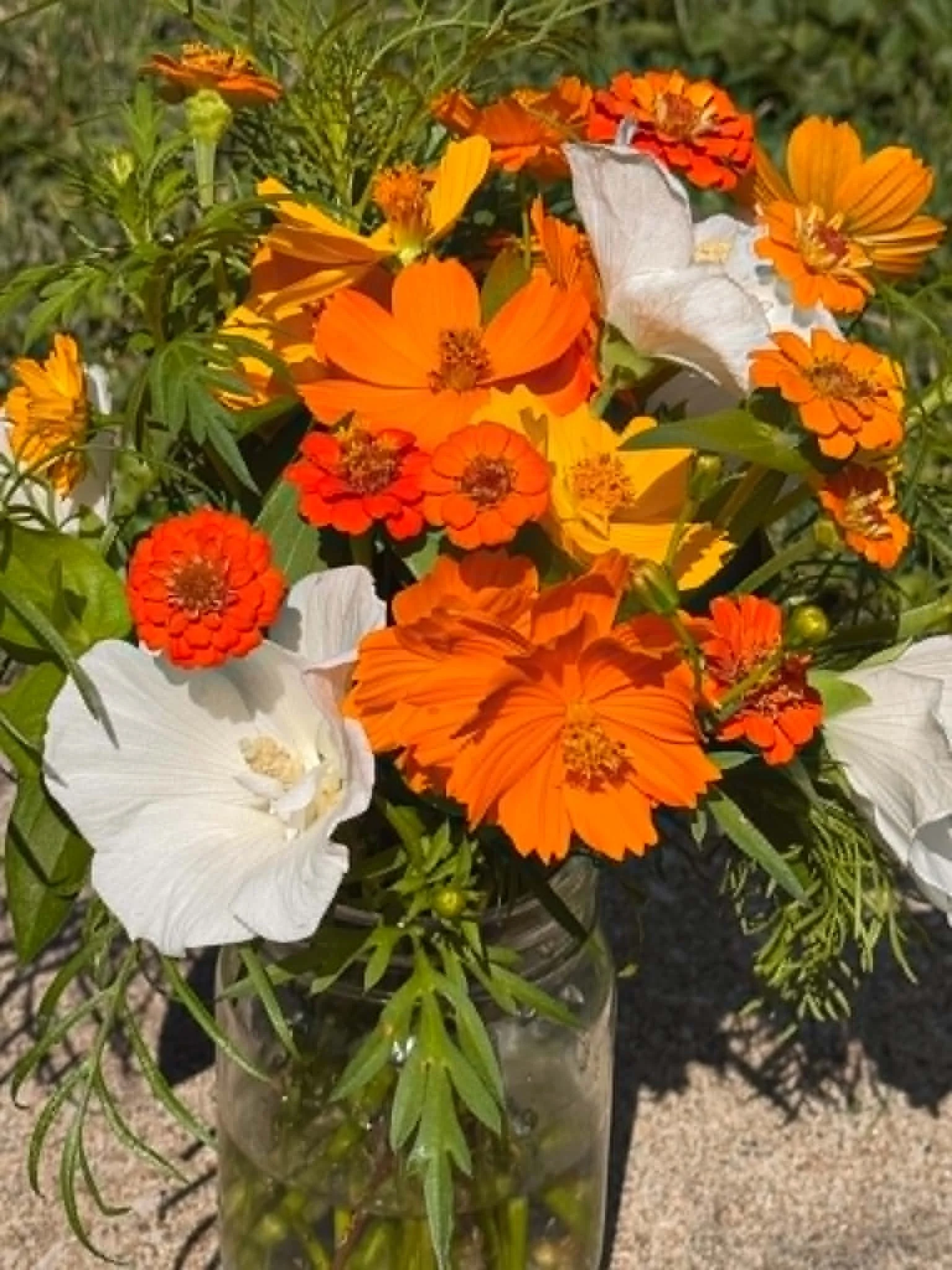 A bouquet of vibrant orange, yellow, red, and white flowers with some white butterflies resting on the petals.