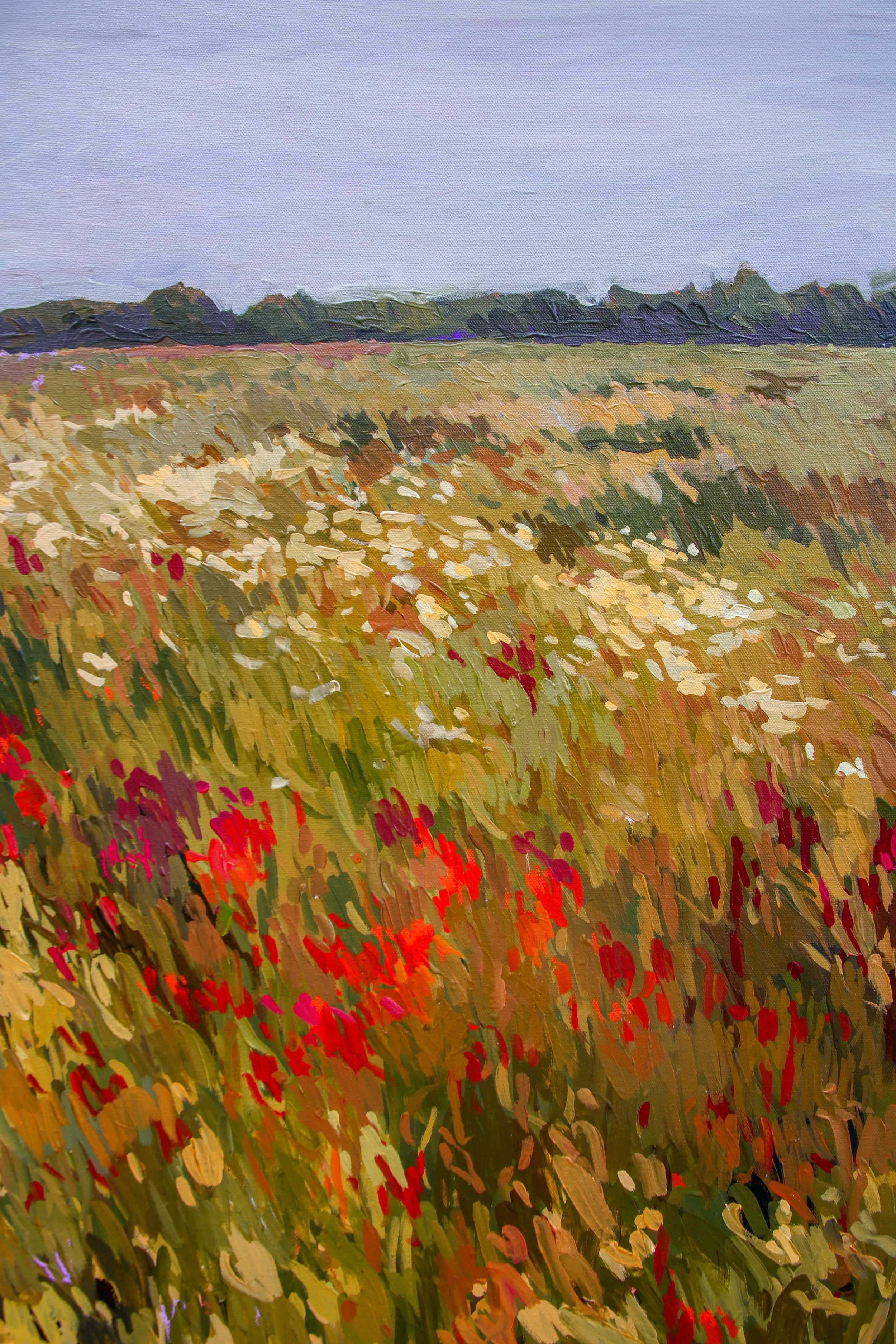 OpenField-2.jpg
