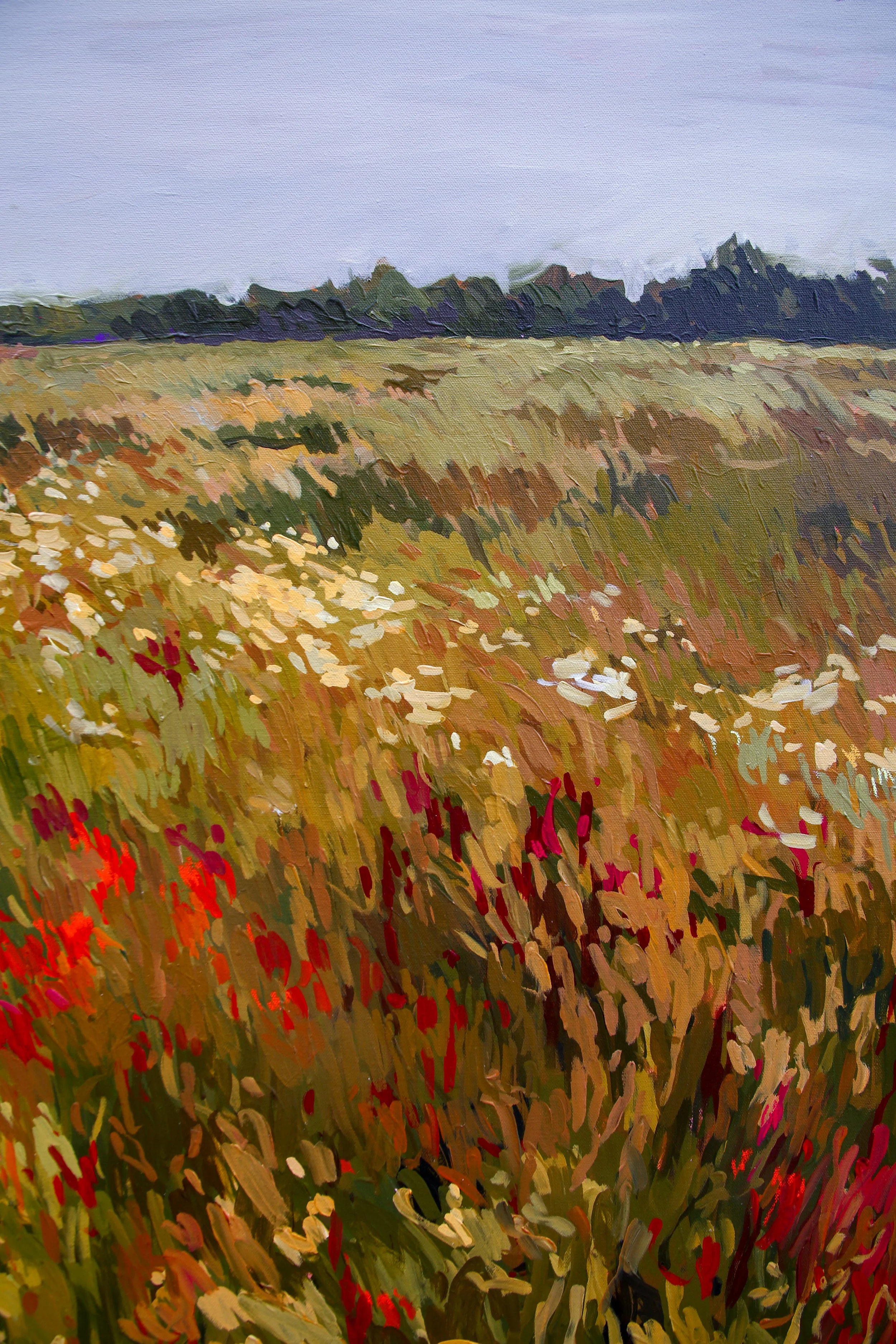 OpenField-3.jpg
