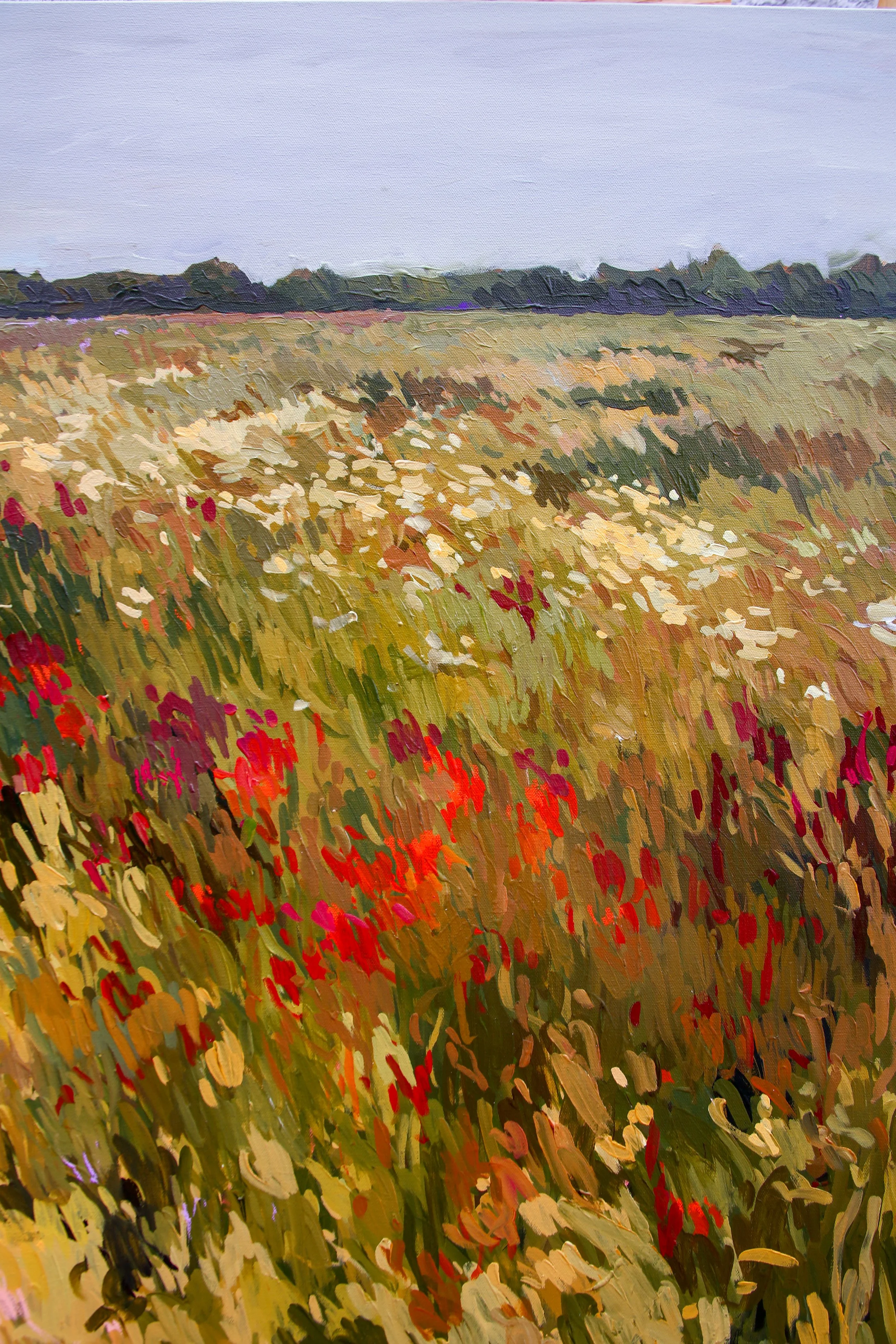 OpenField-5.jpg