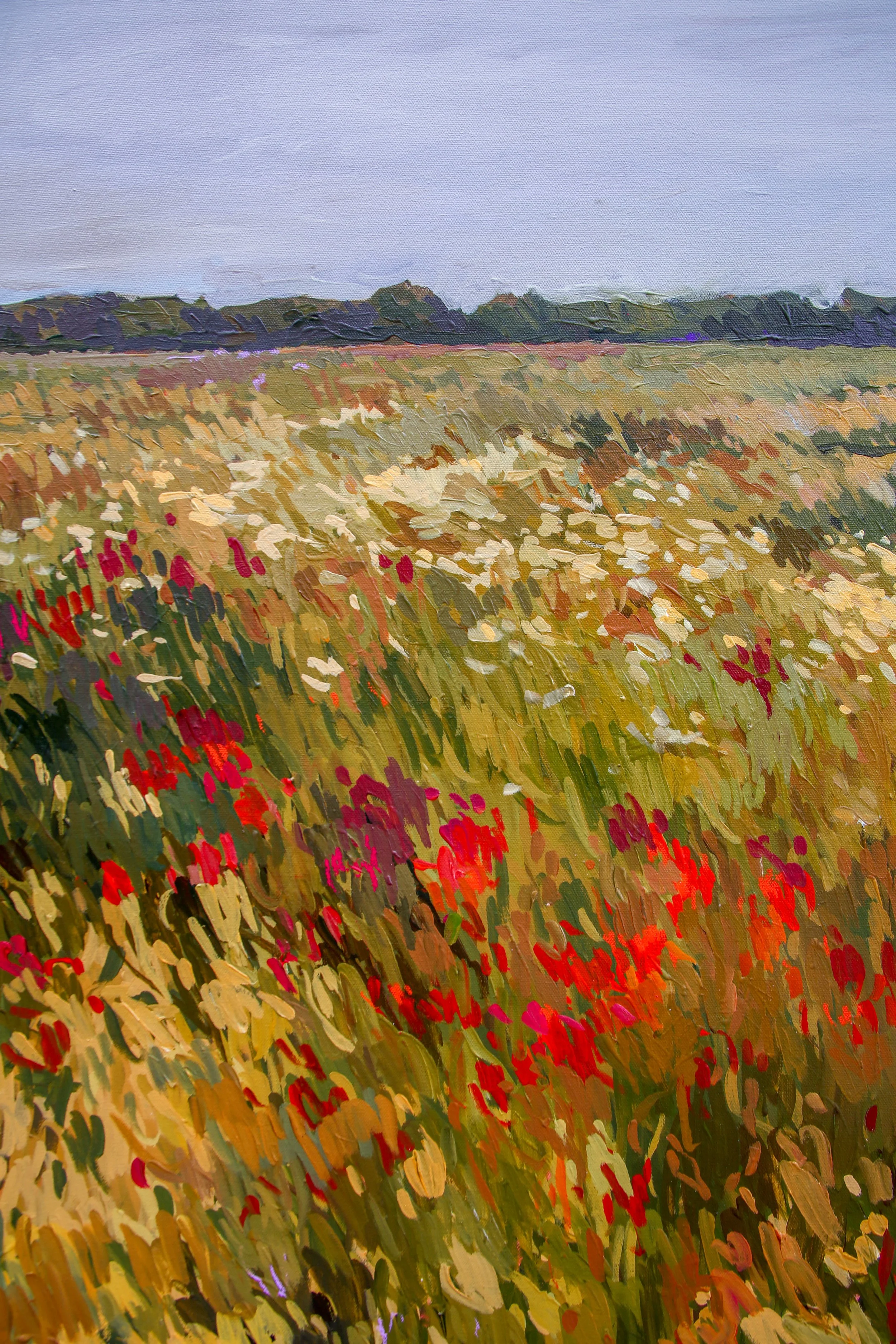 OpenField-1.jpg